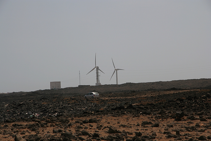 Kanary_2010 105